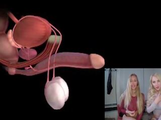 Erkek parti anatomi explained educational joi: ücretsiz seks klips 85