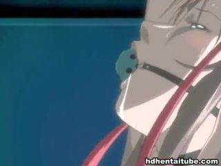Misturar de clipes por hentai nichos