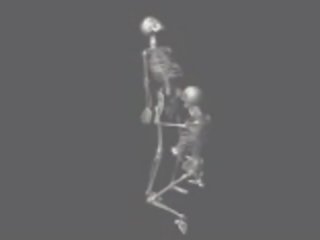 Fucking skeletons